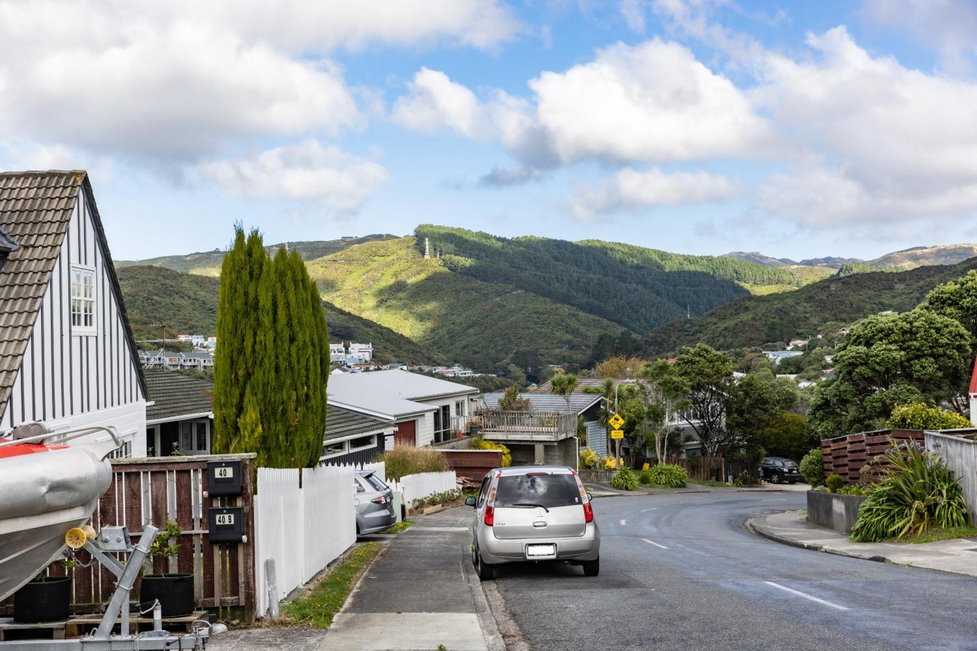 Back Garden Flat With Free On Street Parking And Fiber Wifi - 15 Mins To Ferry, Stadium, Cbd Wellington Buitenkant foto